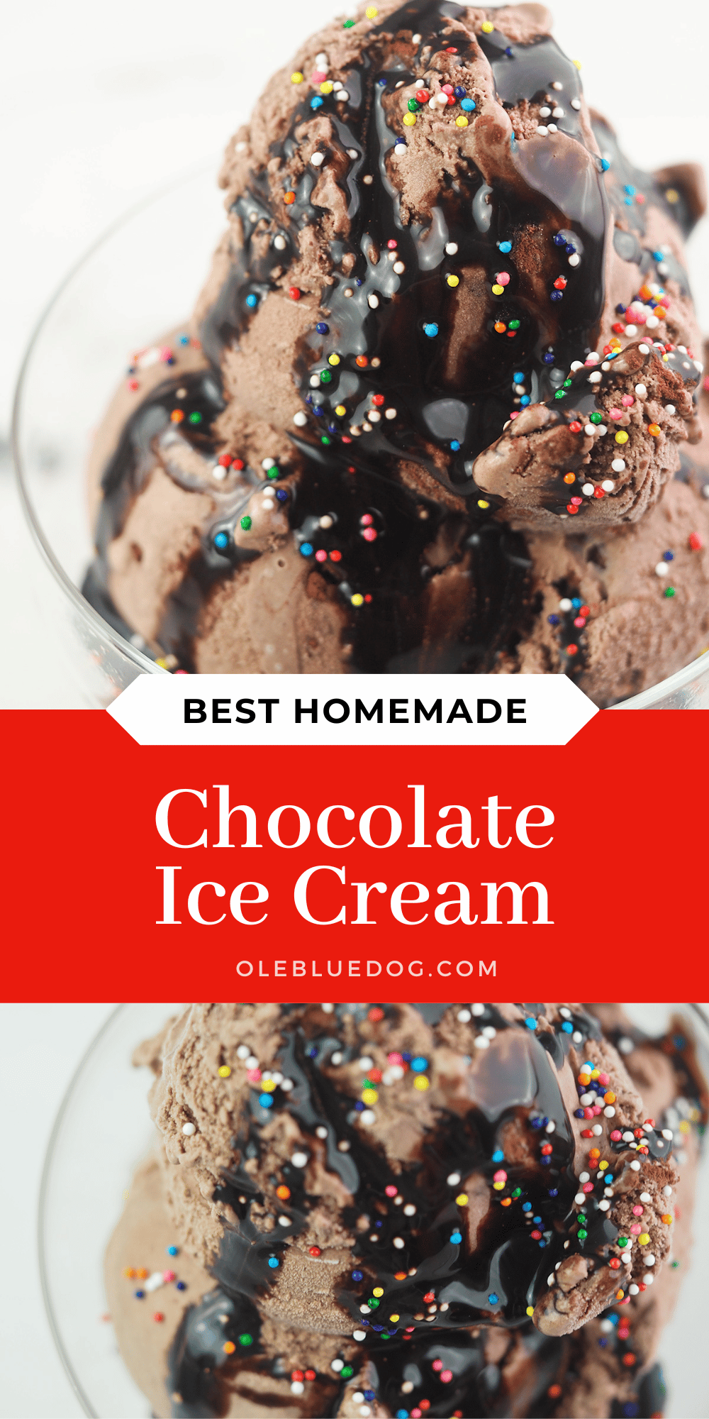 Easy Homemade Chocolate Ice Cream Ole Blue Dog